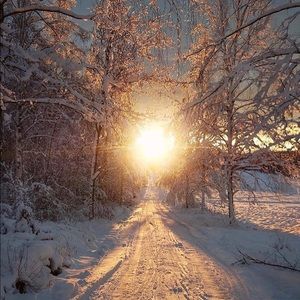 Meet your Posher, Marta